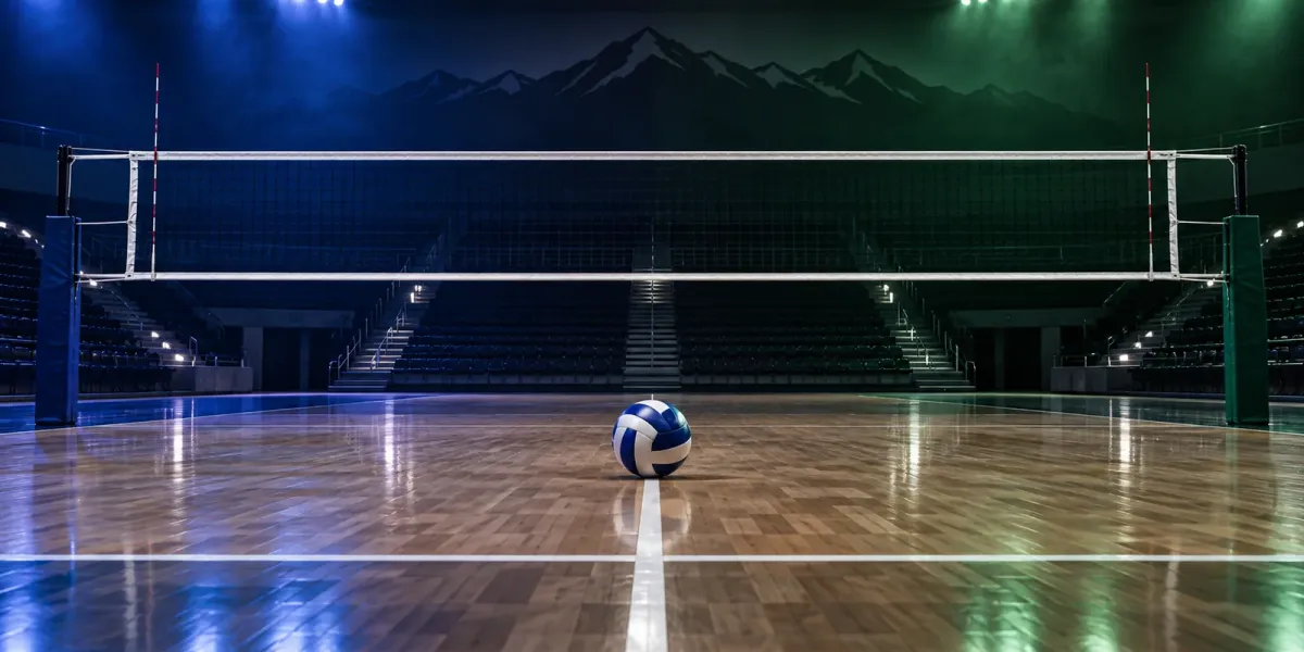 Original editorial illustration of one volleyball beneath a net on an empty court split between navy-blue and dark-green lighting.